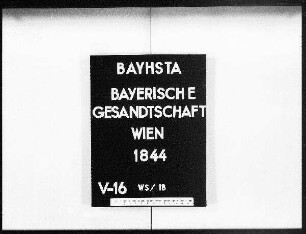 Münchner Kunstausstellungen