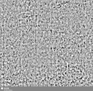 Lilienschild + IESV / LW = S.59/60