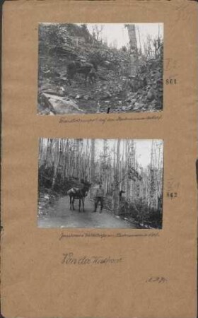 Zerschossene Waldstraße am Hartmannsweilerkopf