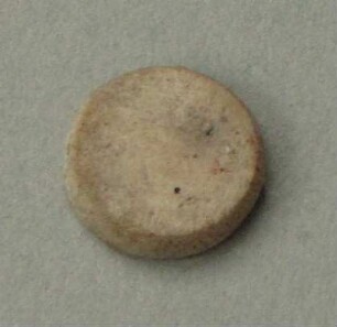 Muschelschale