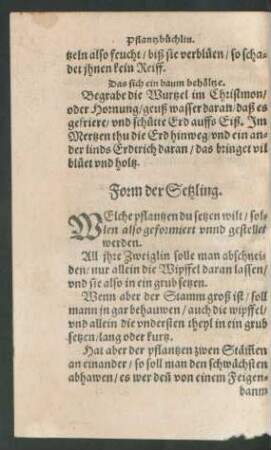 Form der Setzling.
