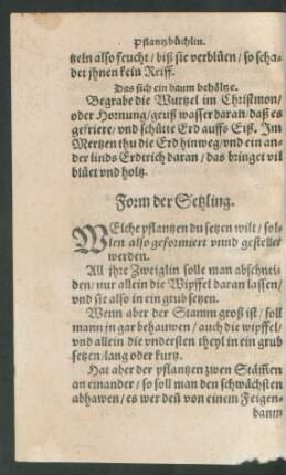 Form der Setzling.