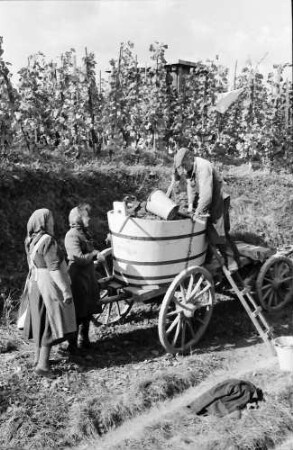 Ihringen: Voller Wagen fährt ab