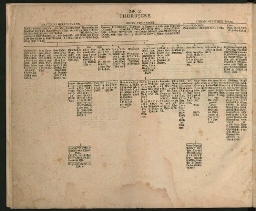 Tab. 22. Thorbecke