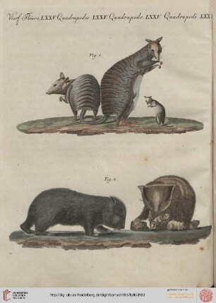 B.VI. No. 31 - B.VI. No. 40