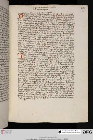 Thomas de Papia, De visione divinae essentiae