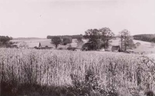 Visselhövede, Lüneburger Heide. Getreidefeld gegen Ortsteil