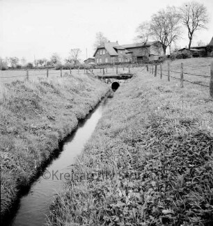 Viehbach bei Mollhagen: im Hintergrund Bauerngehöft: davor Bäume und Zäune