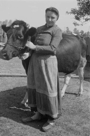 Landwirtin in sorbischer katholishe Alltagstracht mit Ochsen. : Ratarka w serbskej katolskej wšědnej drasće z wołom.