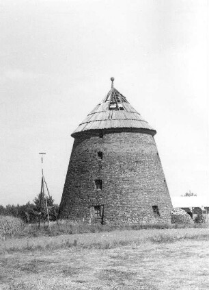 Friedland. Turmholländer