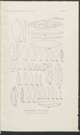 Plate 7. - Flint implements. Fayum, Egypt.