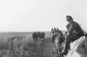 Zweiter Weltkrieg. Frontbilder. Sowjetunion. Troß der deutschen Wehrmacht mit Pferdefuhrwerken