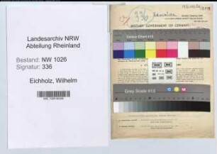Entnazifizierung Wilhelm Eichholz , geb. 08.05.1894 (Rektor)