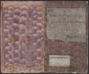 Die Besetzung und Prospicierung des Konsistoriums zu Breuberg