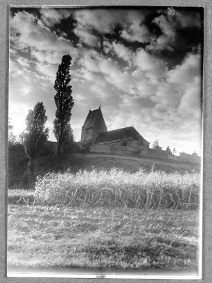 Abends vor Panitzsch : Panitzsch. Blick über Getreidefeld zu Kirche