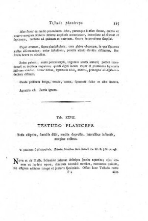 Tab. XXVII. Testudo Planiceps.