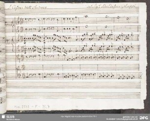 Riede la speme al core - Mus.2973-F-35,7 : S, orch, bc - C