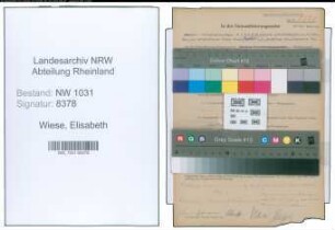 Entnazifizierung Elisabeth Wiese , geb. 10.04.1900 ()