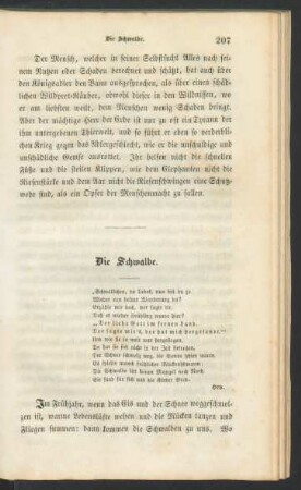 Die Schwalbe.