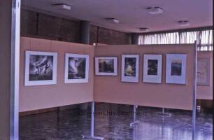 Ausstellung "Radierungen, Zeichnungen" von Jürgen Grenzemann im Foyer des Kreistagssitzungssaals: Stellwände mit Bildern