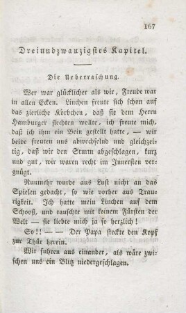 Dreiundzwanzigstes Kapitel. Die Ueberraschung.