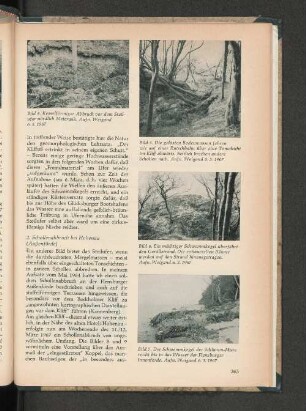 Der Schwemmkegel der Schlamm-Mure reicht bis in das Wasser der Flensburger Innenförde