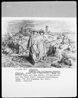 Illustrationen zu "Das Buch Ruth" — Boas erblickt Ruth auf dem Felde