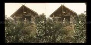 Schutzhütte, Marthas Fels, bei Kreuznach