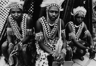 Afrikanische Besucher