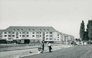 Hicog-Siedlung, 1950
