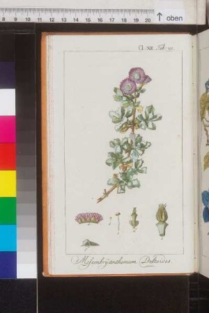 Tab. 101-110