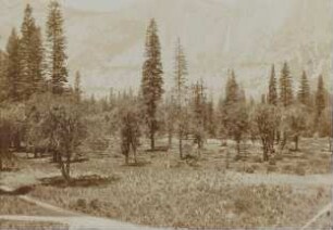 Yosemite Valley: the "Middle Yosemite Fall"