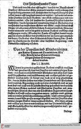 Der LI. Artickel