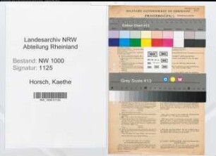 Entnazifizierung Kaethe Horsch, geb. 16.07.1898 (Krankenschwester)