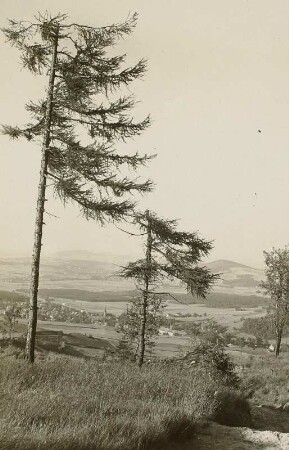 Zittauer Gebirge. Lärchen. Blick auf Waltersdorf vom Nordwestabhang der Lausche nach Norden