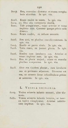 L. Vesica Urinaria