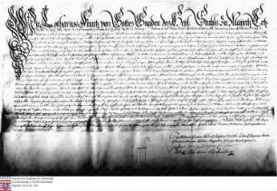 Lothar Franz Kurfürst v. Mainz belehnt mit Birkenau Freiherr Franz Philipp Caspar, Anselm Casimir und Christoph Wambold v. Umstadt