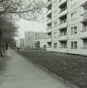 Stübelallee