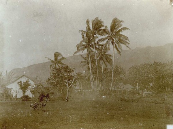 "Tahiti, Tautira"