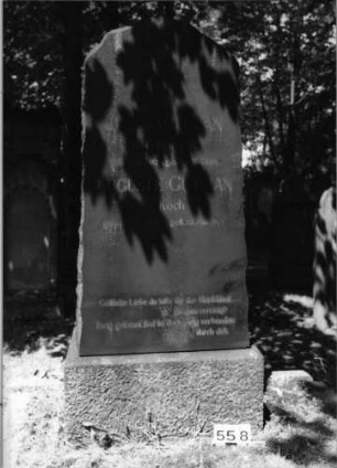 Grabstein 558 (Index: 99630059) Material: Granit Zustand: leicht verwittert Maße HxBxT: 192x90x58 cm Beschreibung: Stele auf Sockel mit Rundbogenabschluß: Grabstein 558