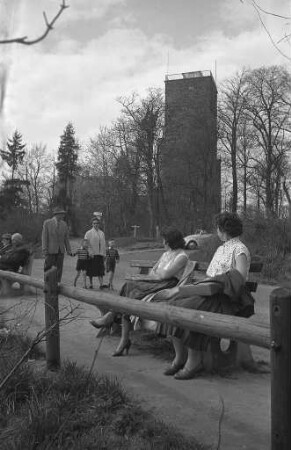 Sonntagsspaziergang am Turmberg.