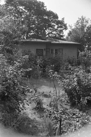 Blühender Garten am Teupitzer Wochenendhaus.