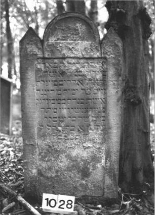 Grabstein 1028 (Index: 99899621) Material: Sandstein Zustand: stark verwittert Maße HxBxT: 122x60x12 cm Beschreibung: Stele mit eingezogenem Rundbogenabschluss, Einzüge dreieckig erhöht: Grabstein 1028