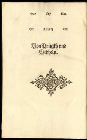 Der XXXVI Titl. Von Prügkh und Eschhay.