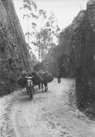 Bei Tequendama (Lateinamerika-Aufenthalte 1934/1942 - 2. Kolumbien 1934-1937)