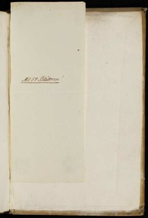 Papierfahne (ausgeklappt) mit Signatur und Titelvermerk (18. Jh.)