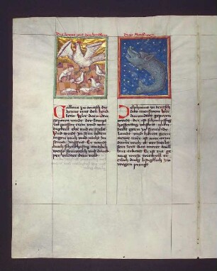 Sternbilder: (1) Siebengestirn (Clocha, Pleiades); Delphin (Delphinus)
