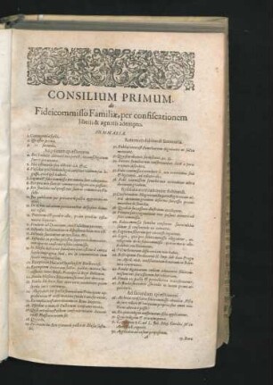 Consilium Primum - Consilium X.