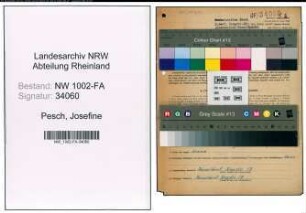 Entnazifizierung Josefine Pesch, geb. 16.09.1878 (Marktfrau)