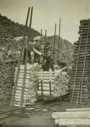 Großsedlitz, Zellulose-Werk : Heidenau-Großsedlitz. Zellulosefabrik (Firma Hoesch und Co.). Holzstapeln